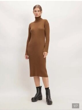 NWT EVERLANE | The Cotton-Merino Turtleneck Dress Ribbed Brown Sz M